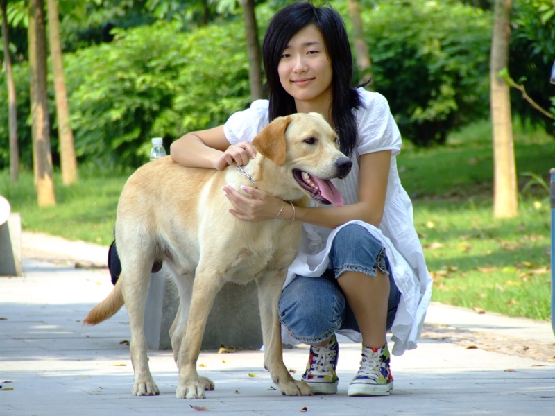 风中的绿叶的第一张照片--驻马店相亲服务中心