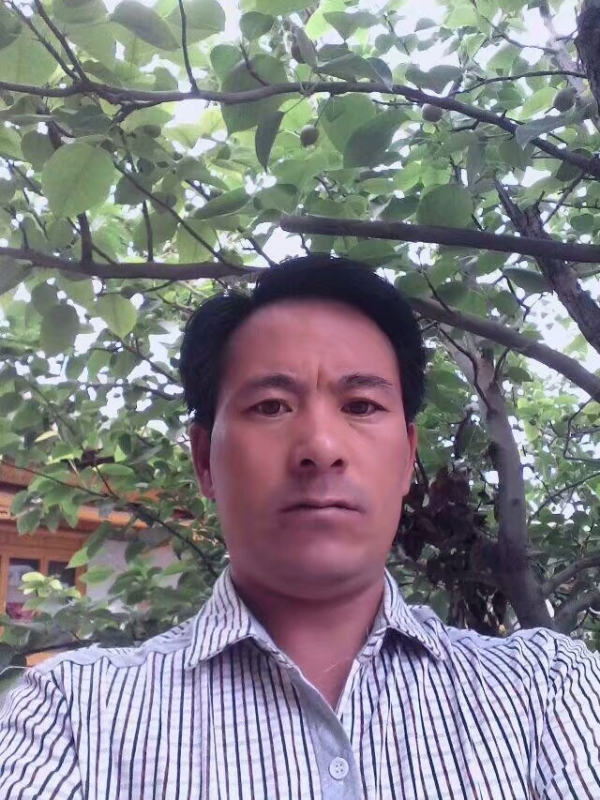 巧遇的第一张照片--驻马店相亲服务中心