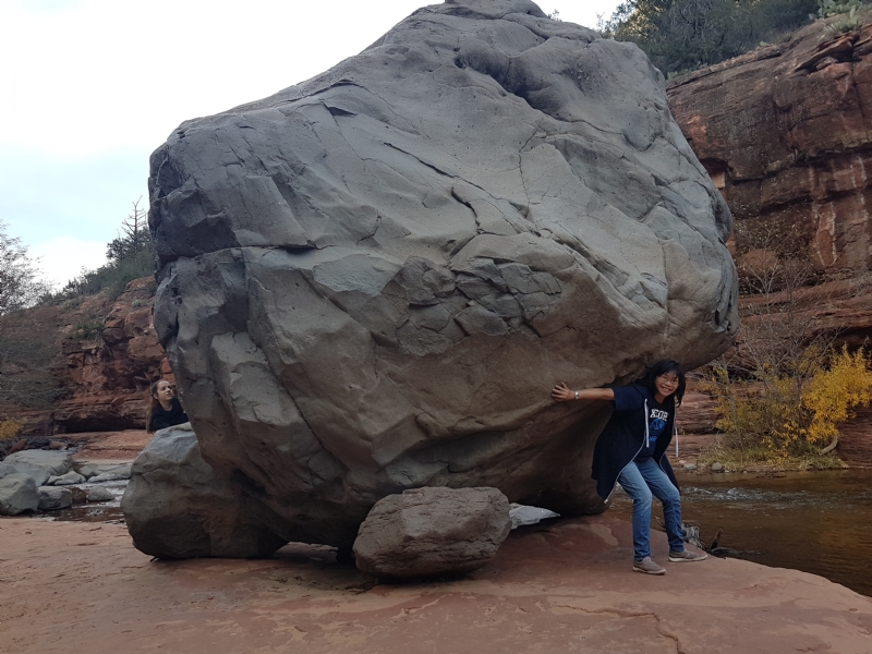 Apple的第一张照片--驻马店相亲服务中心