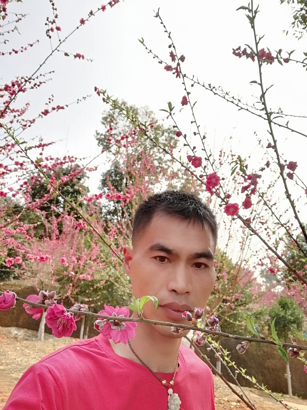 惜緣的第一张照片--驻马店相亲服务中心