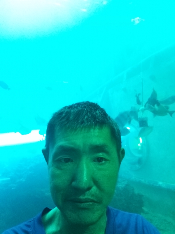 陸戰隊的第一张照片--驻马店相亲服务中心