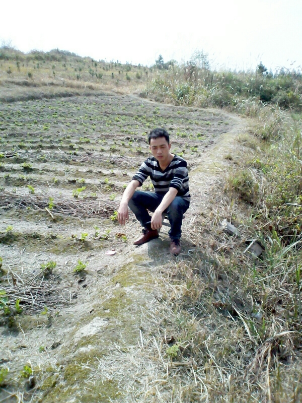 你好的第一张照片--驻马店相亲服务中心