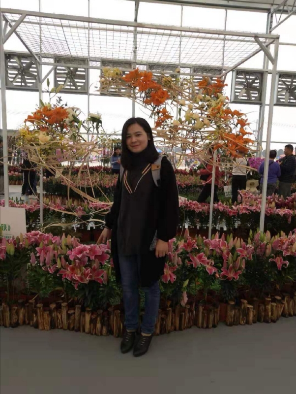 紫苏的第二张照片--驻马店相亲服务中心