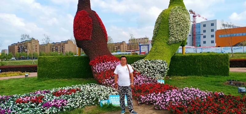 尘埃的第一张照片--驻马店相亲服务中心