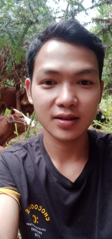 等AI的第一张照片--驻马店相亲服务中心