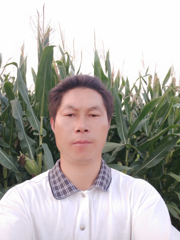 四海游龙的第一张照片--驻马店相亲服务中心