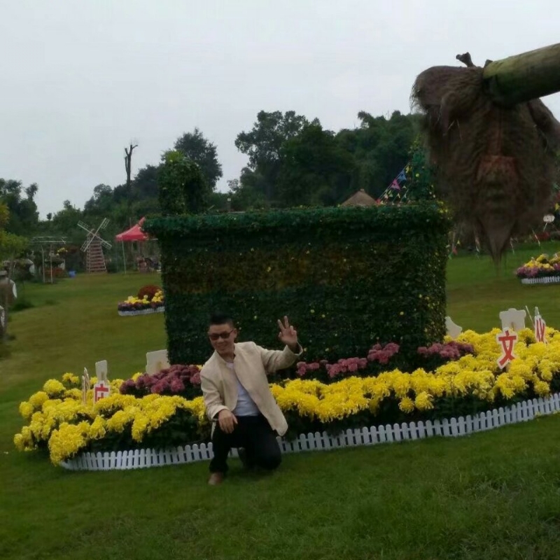 春风里^O^任徜徉的第一张照片--驻马店相亲服务中心