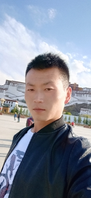 阳光下的小草的第一张照片--驻马店相亲服务中心