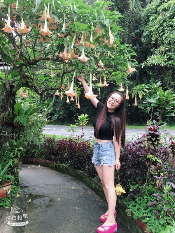 离异单身无子的第二张照片--驻马店相亲服务中心