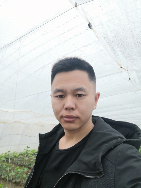 宇成的第二张照片--驻马店相亲服务中心