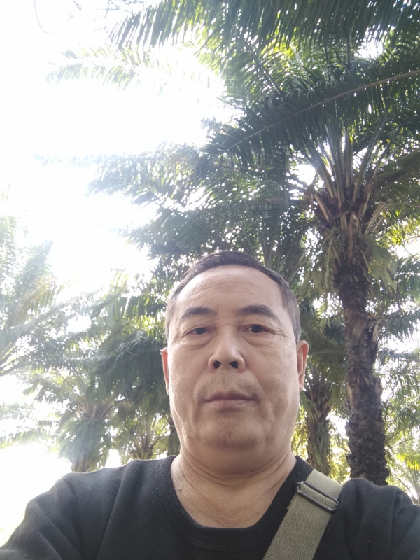 重振雄风的第二张照片--驻马店相亲服务中心