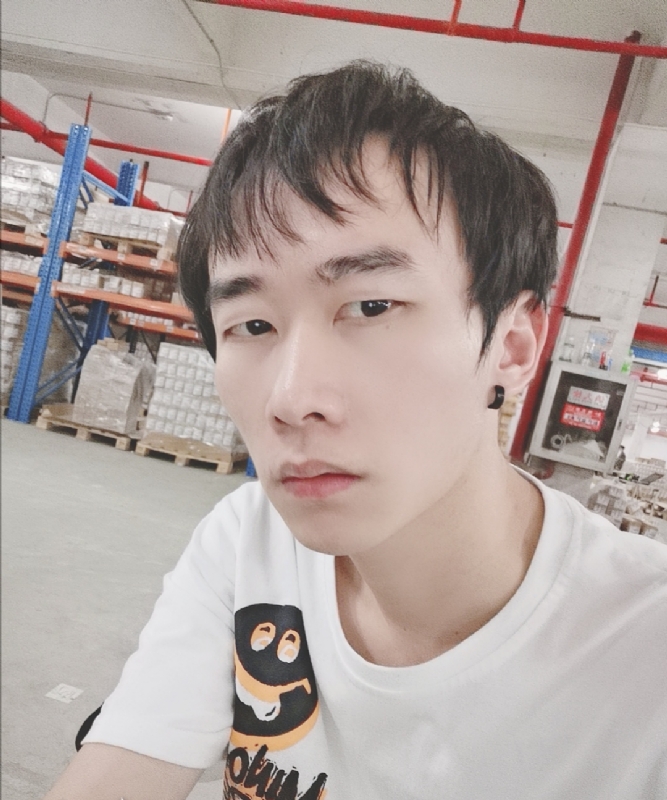 巷子里的猫的第一张照片--驻马店相亲服务中心