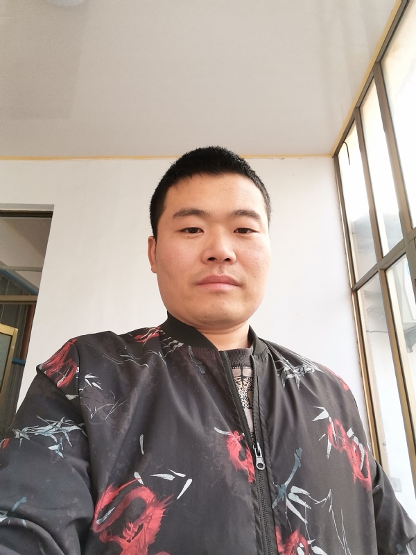 会飞的猪的第一张照片--驻马店相亲服务中心