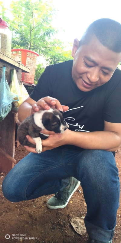 深圳相亲的第一张照片--驻马店相亲服务中心