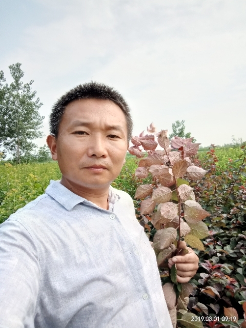 孩子爸的第一张照片--驻马店相亲服务中心