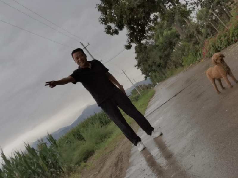 每天的温暖的第一张照片--驻马店相亲服务中心