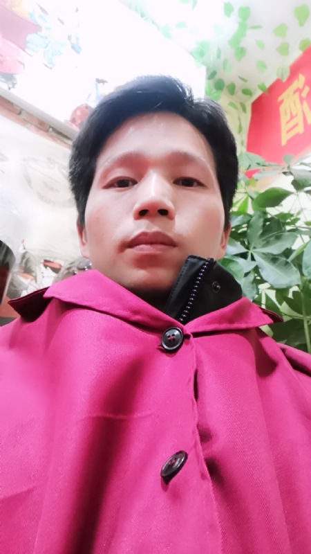 单身的林凡的第一张照片--驻马店相亲服务中心