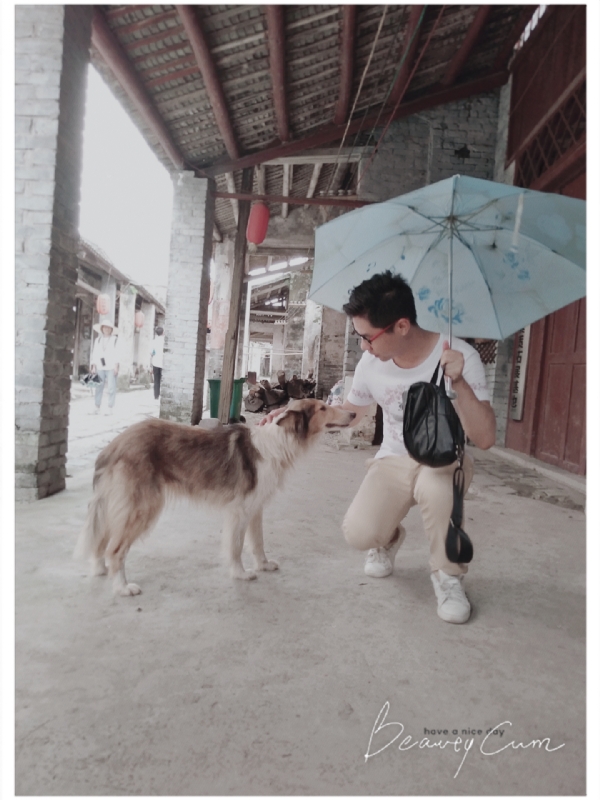 以利亚的第三张照片--驻马店相亲服务中心