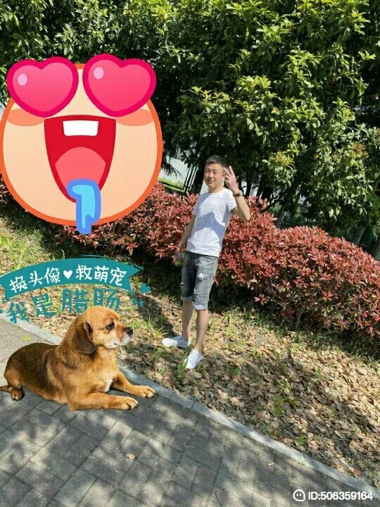 我若不坚强谁替我勇敢的第一张照片--驻马店相亲服务中心