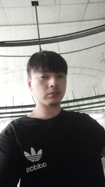 久鑫的第一张照片--驻马店相亲服务中心