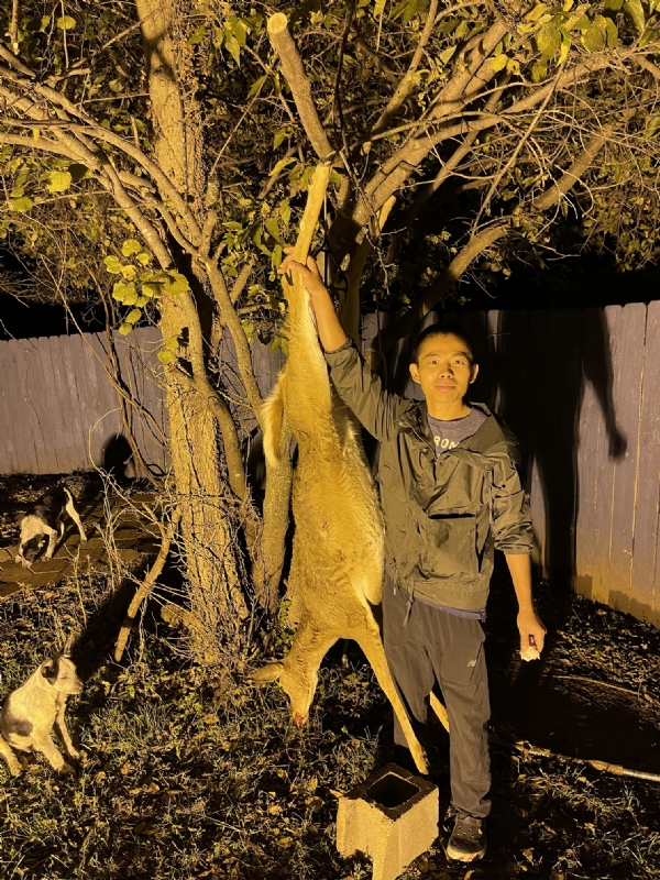 Kandy的第三张照片--驻马店相亲服务中心