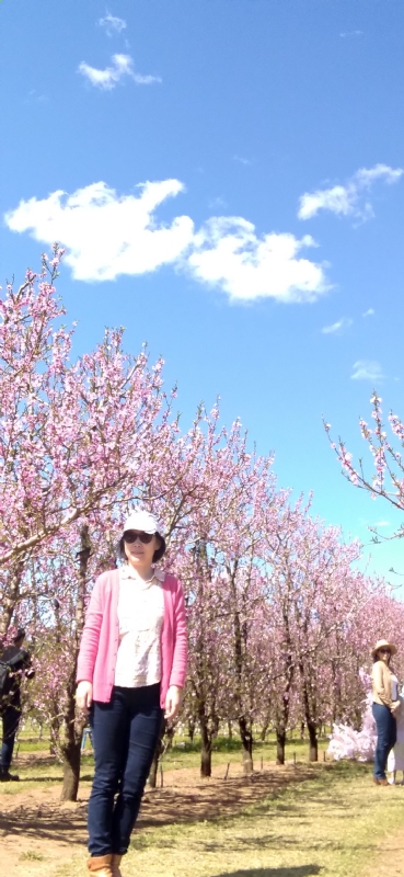 Grace的第二张照片--驻马店相亲服务中心