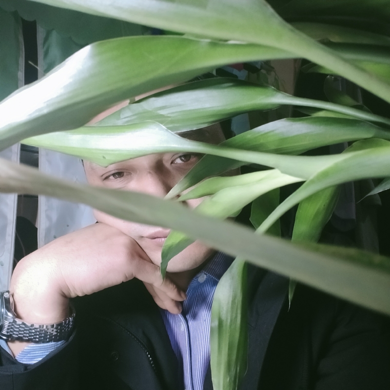 诸先生的第二张照片--驻马店相亲服务中心