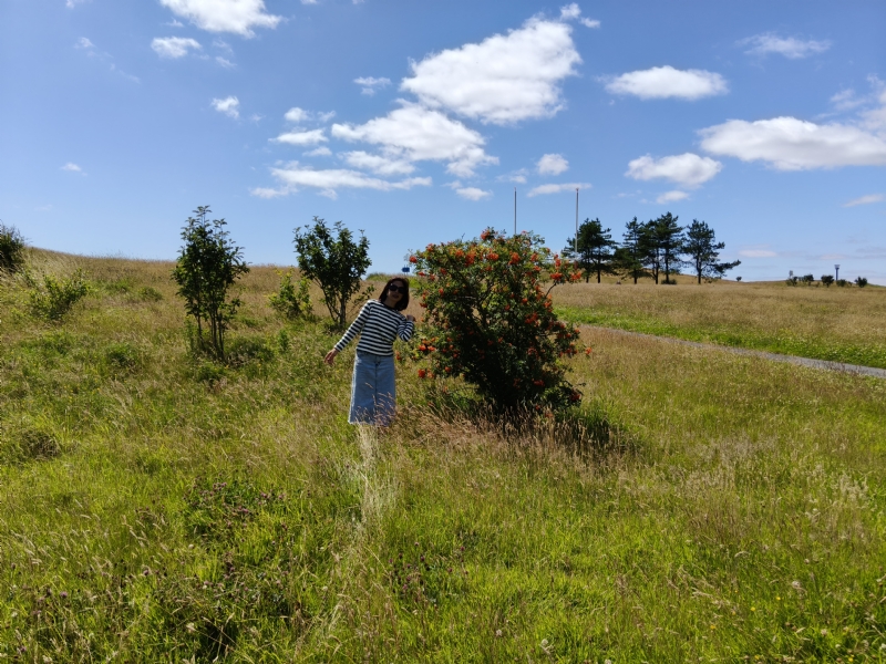 秋蝉的第一张照片--驻马店相亲服务中心