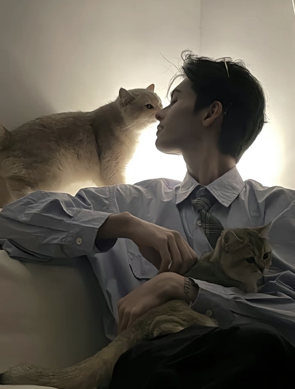 怪猫的第一张照片--驻马店相亲服务中心