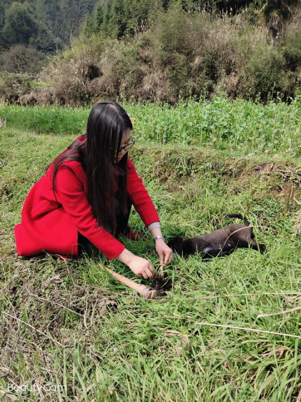 下一个春和秋的第一张照片--驻马店相亲服务中心