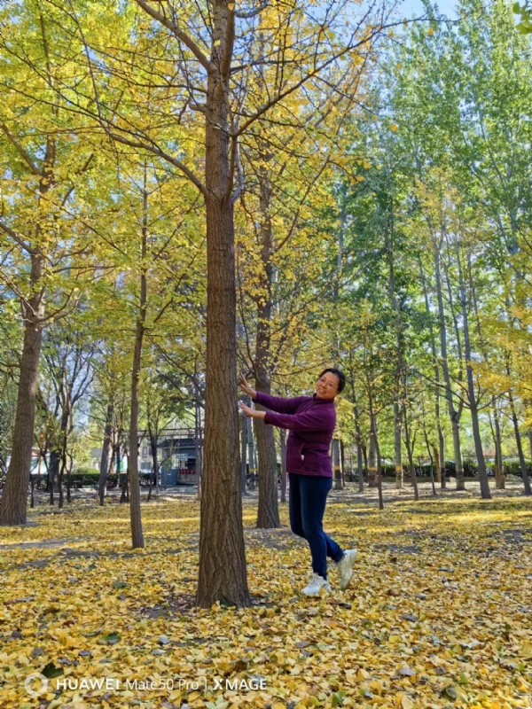 Shirley的第三张照片--驻马店相亲服务中心