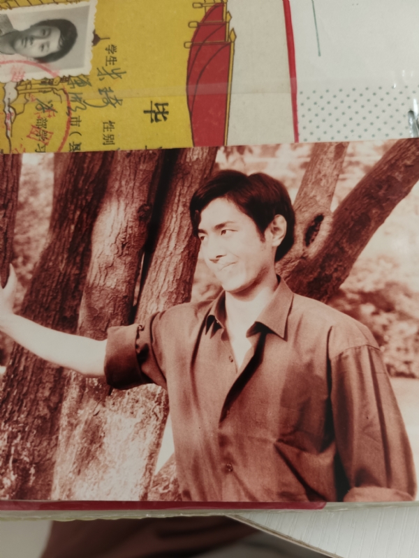 朱琦的第五张照片--驻马店相亲服务中心