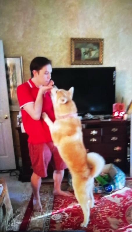 Leluch的第一张照片--驻马店相亲服务中心