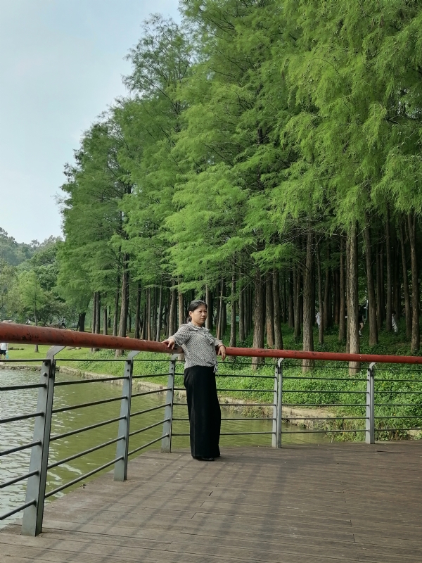 遗失的记忆的第二张照片--驻马店相亲服务中心