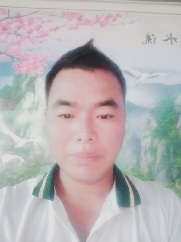 阳光男孩的第二张照片--驻马店相亲服务中心