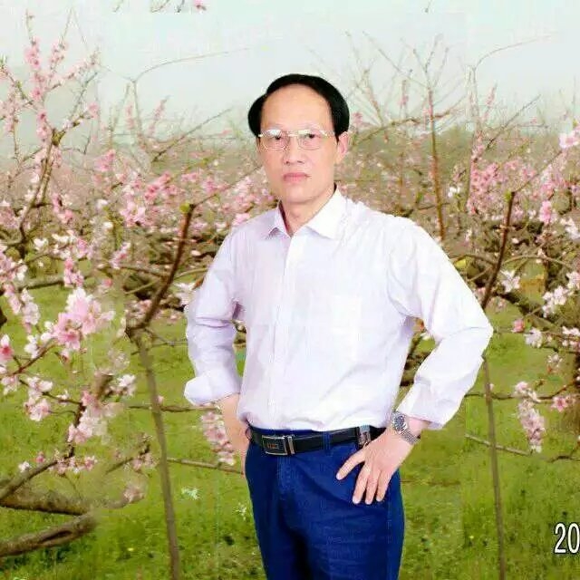 枫叶的第一张照片--驻马店相亲服务中心