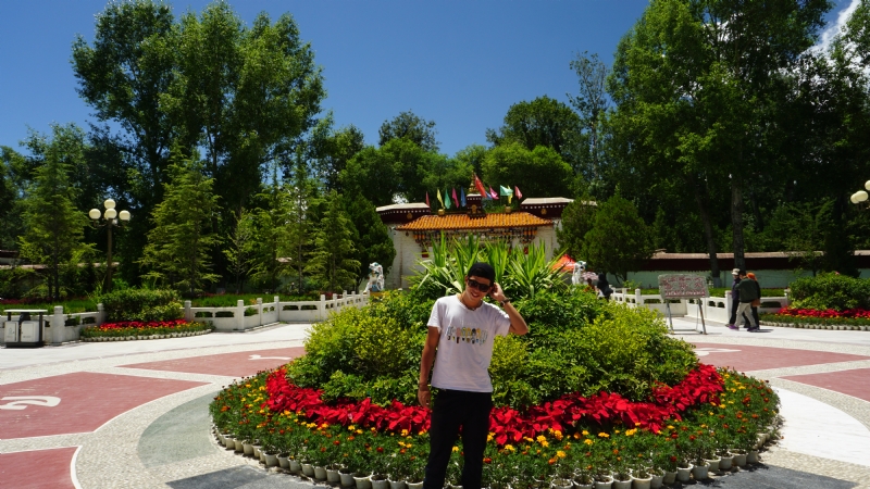 阿龙设计师的第四张照片--驻马店相亲服务中心