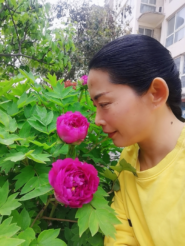 厚德载物的第一张照片--驻马店相亲服务中心