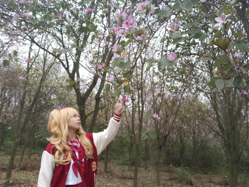 暮秋的第一张照片--驻马店相亲服务中心