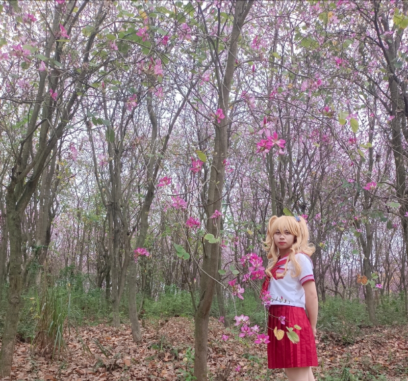 暮秋的第三张照片--驻马店相亲服务中心