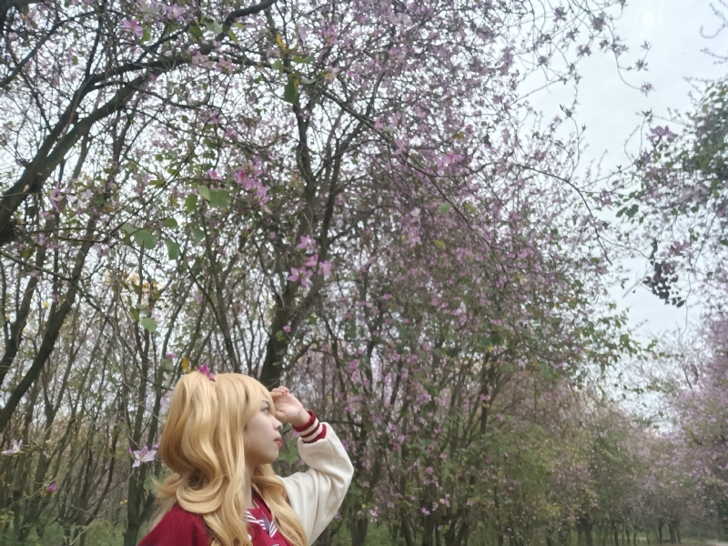 暮秋的第五张照片--驻马店相亲服务中心