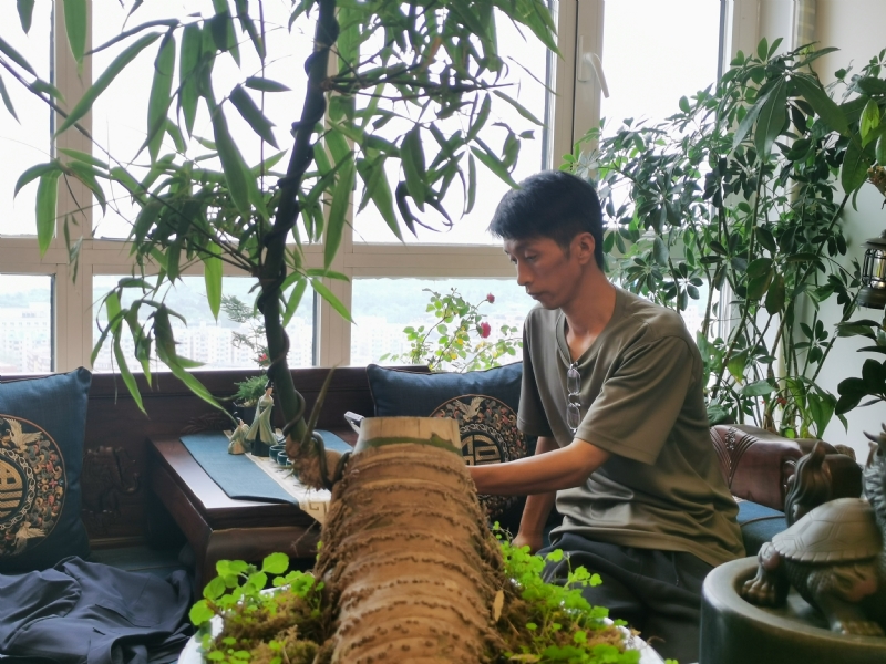 成个家的第一张照片--驻马店相亲服务中心