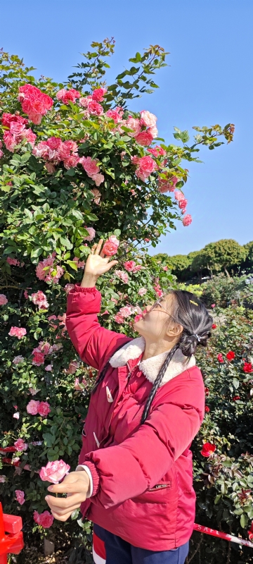 狗狗的第一张照片--驻马店相亲服务中心