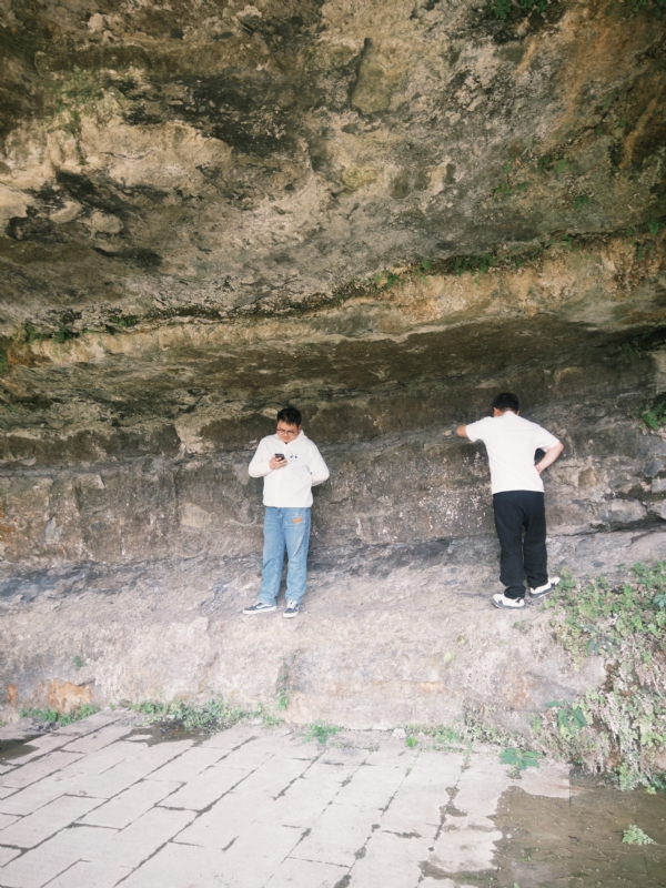 Longererer的第三张照片--驻马店相亲服务中心