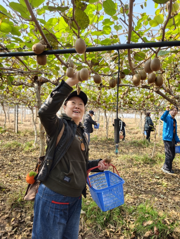 夜莺的第三张照片--驻马店相亲服务中心